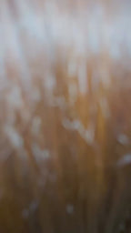 Extensions Adhésives Naturelles - Dark Chesnut